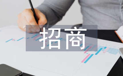 境外招商工作方案