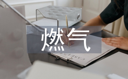 燃?xì)馐袌?chǎng)工作計(jì)劃