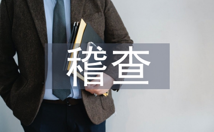 全市地稅稽查工作會議