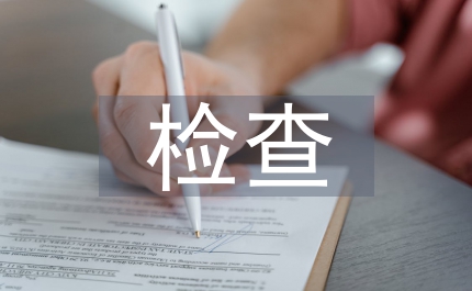 民政局安全生產檢查總結鎮