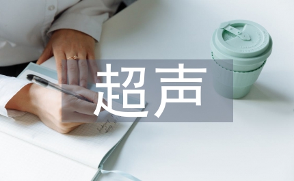超聲主治醫師工作總結
