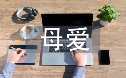 母愛(ài)故事