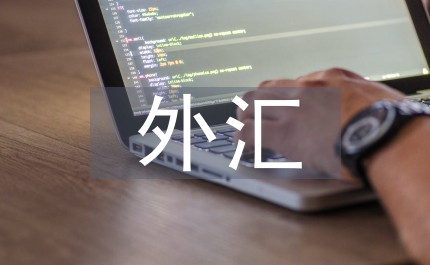 外匯實訓總結