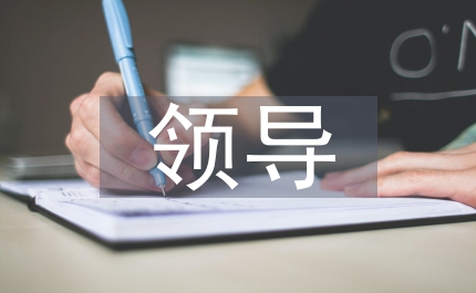 區領導區委會議講話