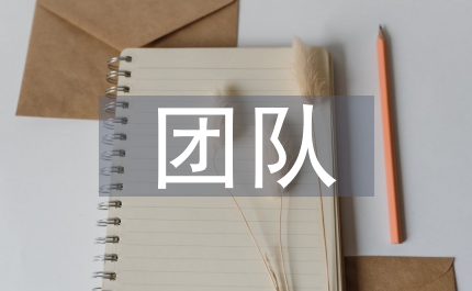 團隊心理活動總結